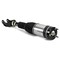 Arnott AIR SUSPENSION STRUT AS-3411 - alternate 1